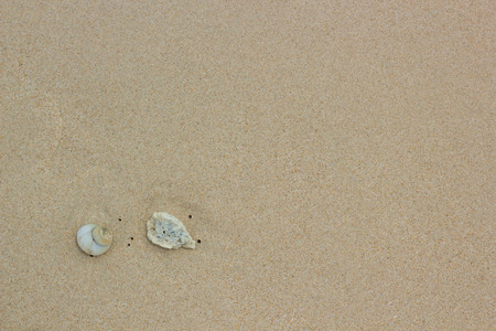 Sand backgroundの写真素材