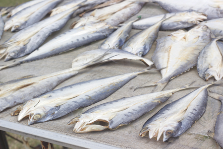Dried fish, local foodの写真素材
