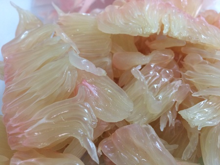 Closeup of pomeloの素材