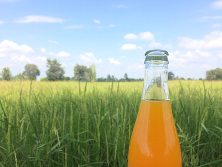 Fresh orange juice with green natureの素材