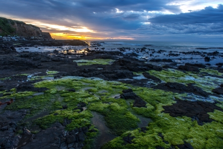 Curio bay near Waikawa habour  Sea of southern New Zealand の写真素材