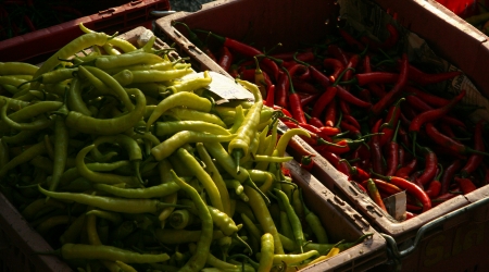 Thailand hot chilli in marketの写真素材