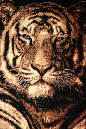Tiger face, background の写真素材