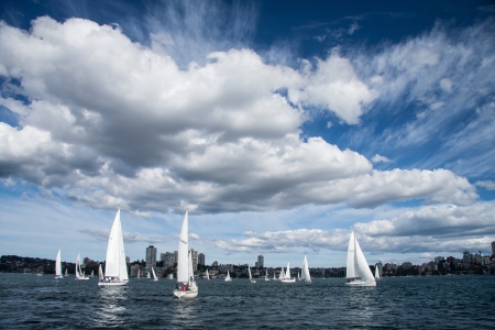 Sailing ship yachts in Sydney habour の写真素材