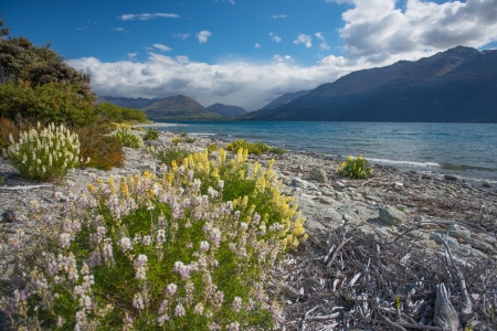Beautiful landscape south island, New Zealandの写真素材