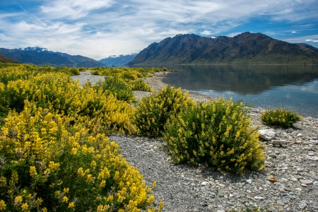 Beautiful landscape south island, New Zealandの写真素材