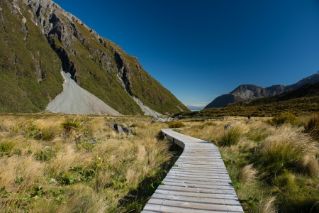 Landscape of New Zealand の写真素材