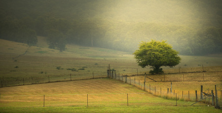 View of countryside Australiaの写真素材