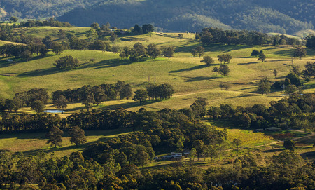 Landscape view of Blue Mountains national park, Australia の写真素材