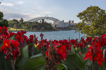 Botanic garden in Sydneyの写真素材