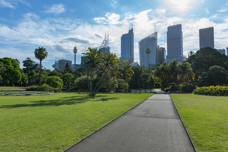 Botanic garden in Sydneyの写真素材