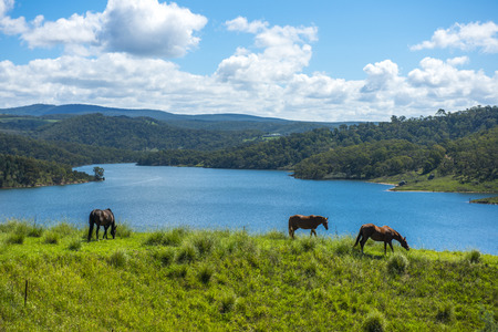 landscape view from Lithgow west of Sydneyの写真素材
