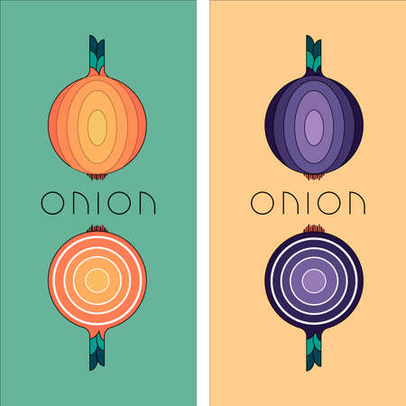 onion poster vector food freshのイラスト素材