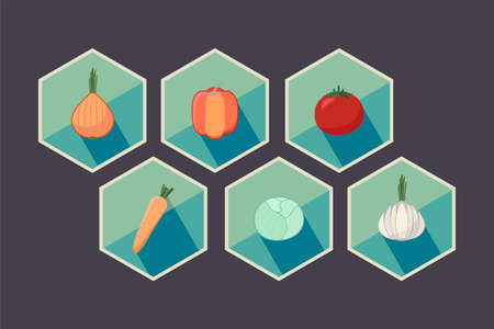 Set of vegetables retro style proper food illustration vectorのイラスト素材