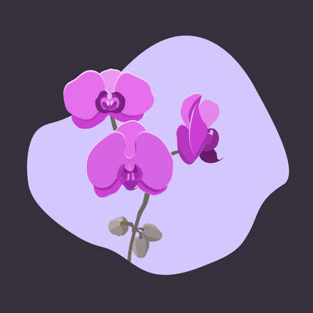 orchid background vector idea for design vectorのイラスト素材