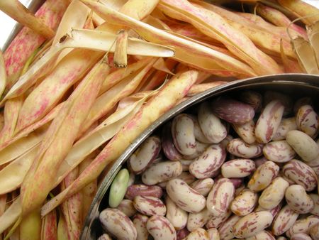 Close up of spotted white kidney beans with the pea pods.                                