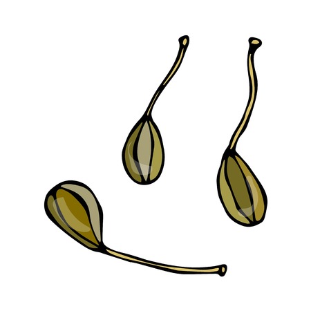 Cartoon Capers. Doodle Style Vector Design, Isolated on White Background.のイラスト素材