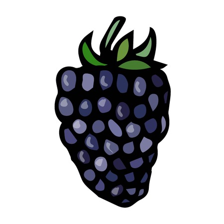 BlackBerry Doodle Style Vector Sketch, Isolated on White Background.のイラスト素材