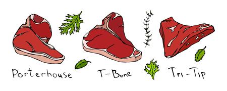 Set of Hand Drawn Steaks. Porterhouse, T-Bone, Trip-Tip. Isolated Vector Meat Illustration on White Backgroundのイラスト素材