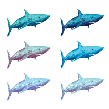 Polygonal Shark Vector Illustration. In Six Colour Optionsのイラスト素材