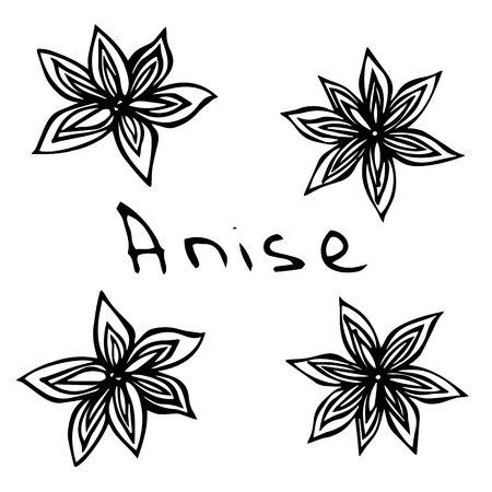 Stars of Anise. Vector Illustration Isolated On a White Background. Realistic Hand Drawn Doodle Style Sketch.のイラスト素材