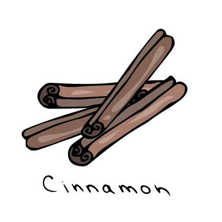 Cinnamon Sticks. Realistic Hand Drawn Doodle Style Sketch. Vector Illustration Isolated On a White Background.のイラスト素材