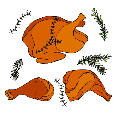 Fried Chicken or Turkey Full Carcass. Cooked Fowl Meat. Vector Illustration Isolated On a White Background. Realistic Hand Drawn Doodle Style Sketch.のイラスト素材