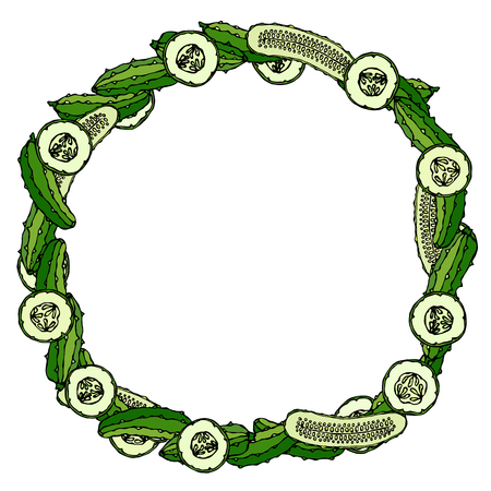 Wreath or Round Frame with Green Cucumbers or Gherkin, Cucumber Slices and Halves with Seeds.のイラスト素材