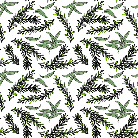 Seamless Endless Pattern of Rosemary Branch and Sage. Background with Aromatic Healing Herb. Steak Meat Spice. Hand Drawn Illustration. Savoyar Doodle Styleのイラスト素材