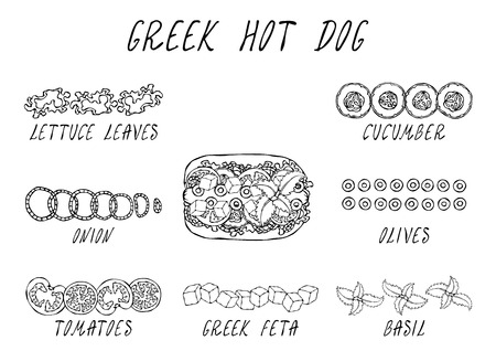 Greek Hot Dog Ingredients Constructor. Feta Cheese, Basil. Olives, Lettuce Salad, Tomato, Cucumber. Fast Food Collection. Hand Drawn High Quality Vector Illustration. Doodle Styleのイラスト素材