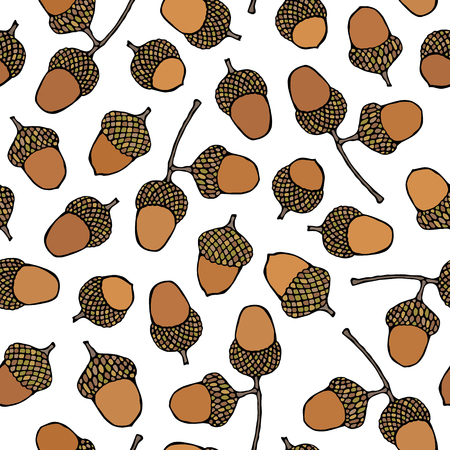 Seamless Endless Pattern of Brown Acorns. Autumn or Fall Vegetable Harvest Collection. Realistic Hand Drawn High Quality Vector Illustration. Doodle Styleの写真素材
