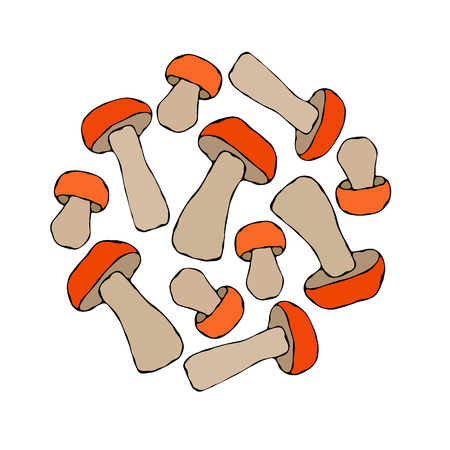 Circle Shape Aspin Mushroom Background. Autumn or Fall Vegetable Harvest Collection. Realistic Hand Drawn High Quality Vector Illustration. Doodle Styleのイラスト素材