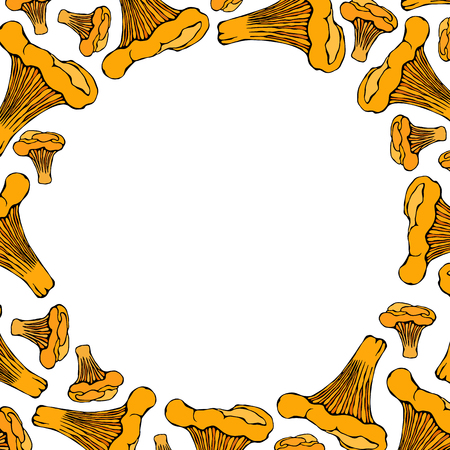 Circle Shape Frame Chanterelle Mushroom Background. Autumn or Fall Vegetable Harvest Collection. Realistic Hand Drawn High Quality Vector Illustration. Doodle Styleのイラスト素材