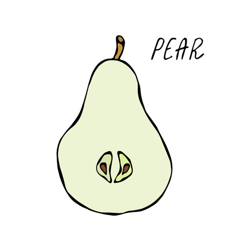 Half of Green Pear and Leaf. Fresh Fruit Nutrition Diet. Autumn or Fall Vegetable Harvest Collection. Realistic Hand Drawn High Quality Vector Illustration. Doodle Styleのイラスト素材