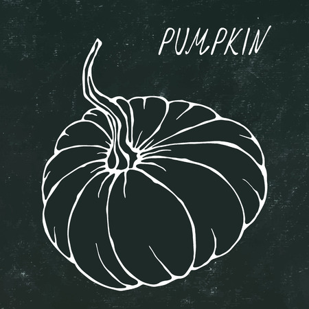 Black Board. Orange Pumpkin. Autumn or Fall Vegetable Harvest Collection. Realistic Hand Drawn High Quality Vector Illustration. Doodle Styleのイラスト素材