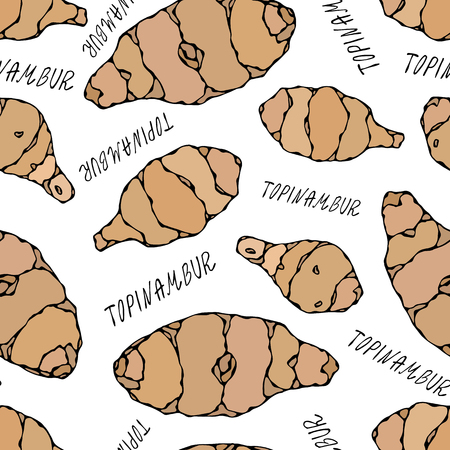 Seamless Endless Pattern of Jerusalem Artichoke or Topinambur. Vegetable Collection. EPS10 Vector. Hand Drawn Doodle Style Realistic Illustrationのイラスト素材