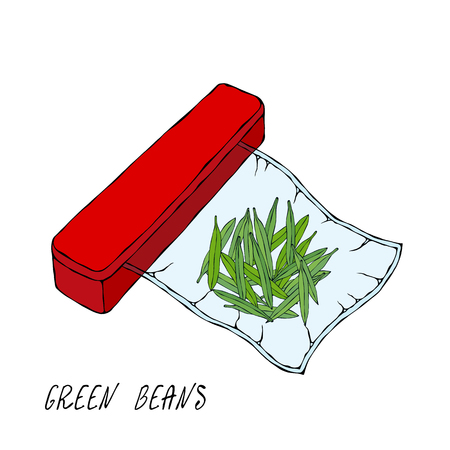 Vacuumizer Food Sealer. Green Beans. For Vegetarians. What is Sous-Vide. Slow Cooking Technology. Chief Cuisine Collection. EPS10 Vector. Hand Drawn Doodle Style Realistic Illustrationのイラスト素材