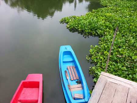 Boat and Hyacinth in canalの写真素材
