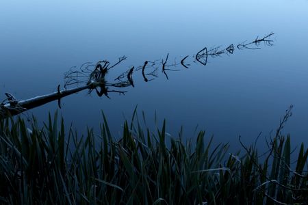 A reflection in Lake Matheson, NZ