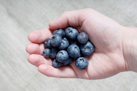 Delicious organic blueberriesの写真素材