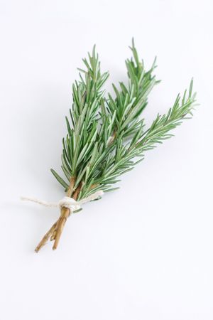 Fragrant rosemary herbs isolated on whiteの写真素材