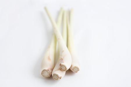 Lemon grass isolated on a white bgの写真素材
