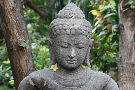 Buddha figureの写真素材