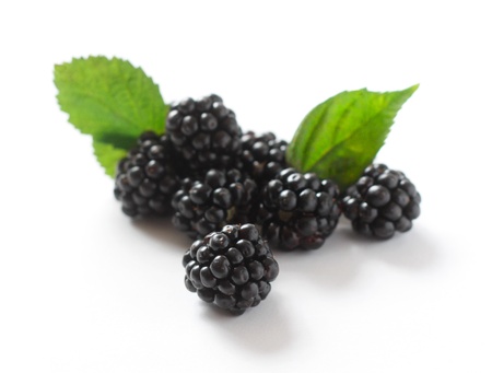 Blackberriesの写真素材