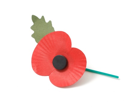 Poppy appealの写真素材