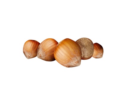 Nutshellsの写真素材