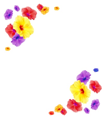 Flower frameの写真素材