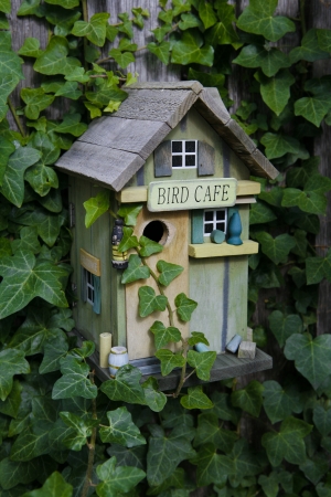 Back Garden Bird Houseの写真素材