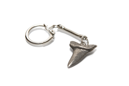 Shark Tooth Keyringの写真素材
