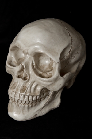 Full Artificial Human Skull on Black の写真素材